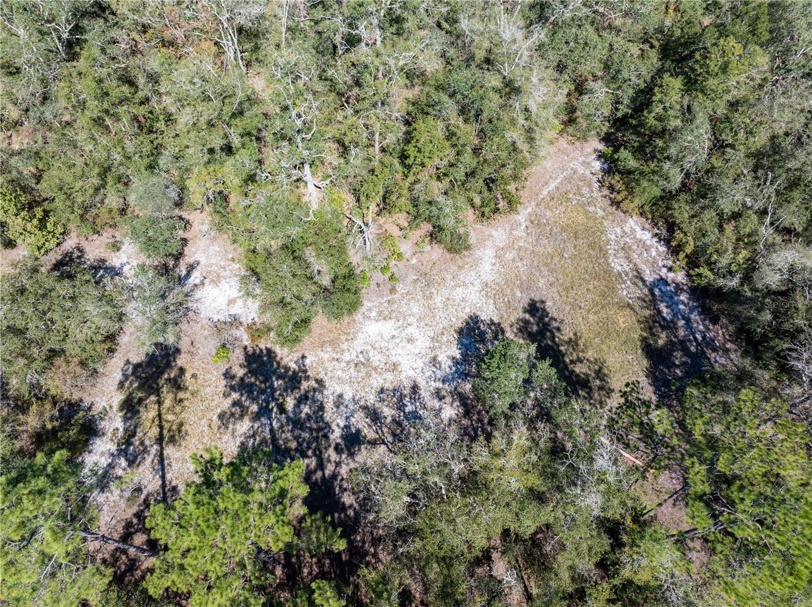 11190 NE 2ND WAY, BRANFORD, FL, 32008