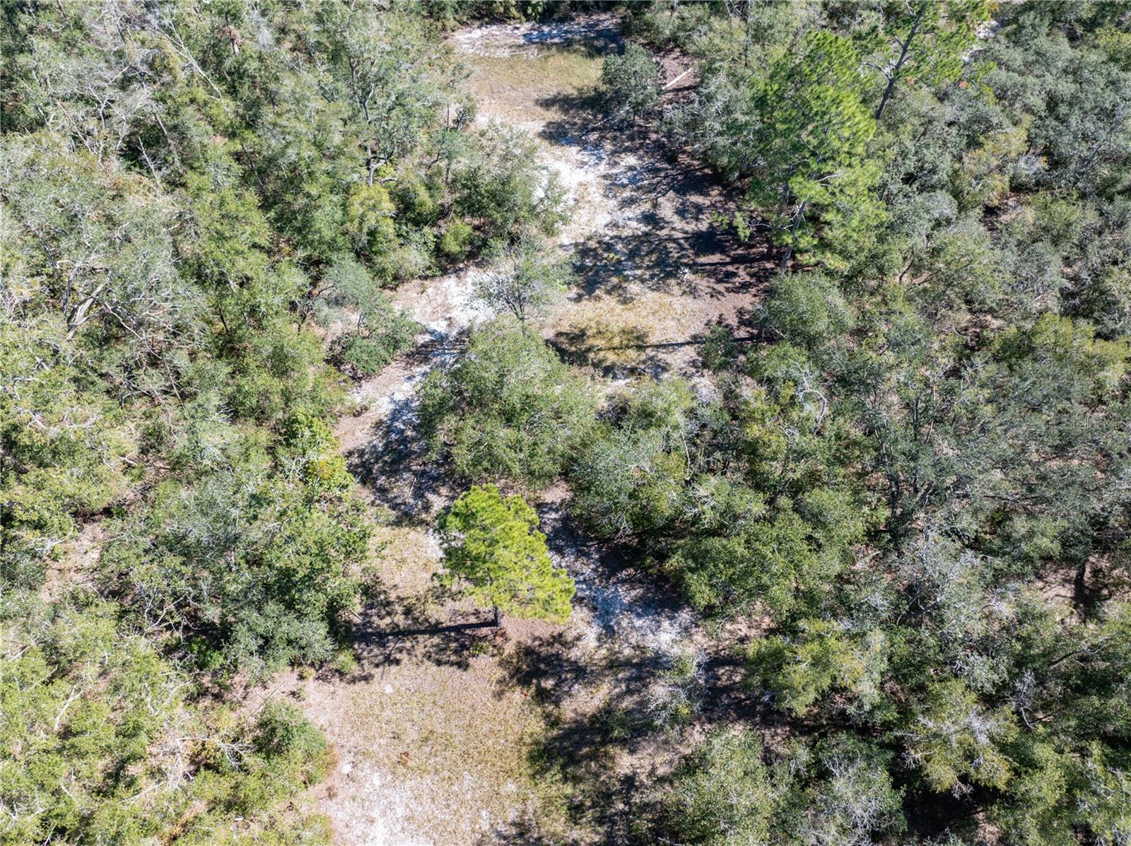 11190 NE 2ND WAY, BRANFORD, FL, 32008