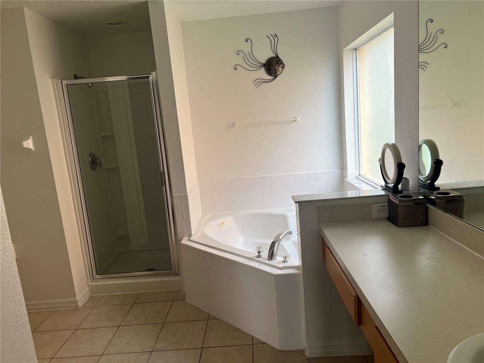 238 CARRERA AVE, DAVENPORT, FL, 33897