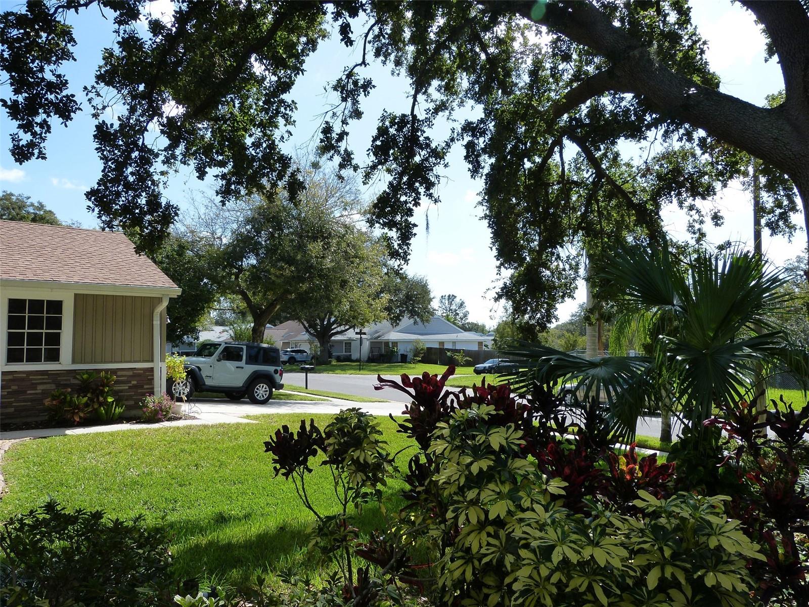 3135 PHLOX DR, PALM HARBOR, FL, 34684