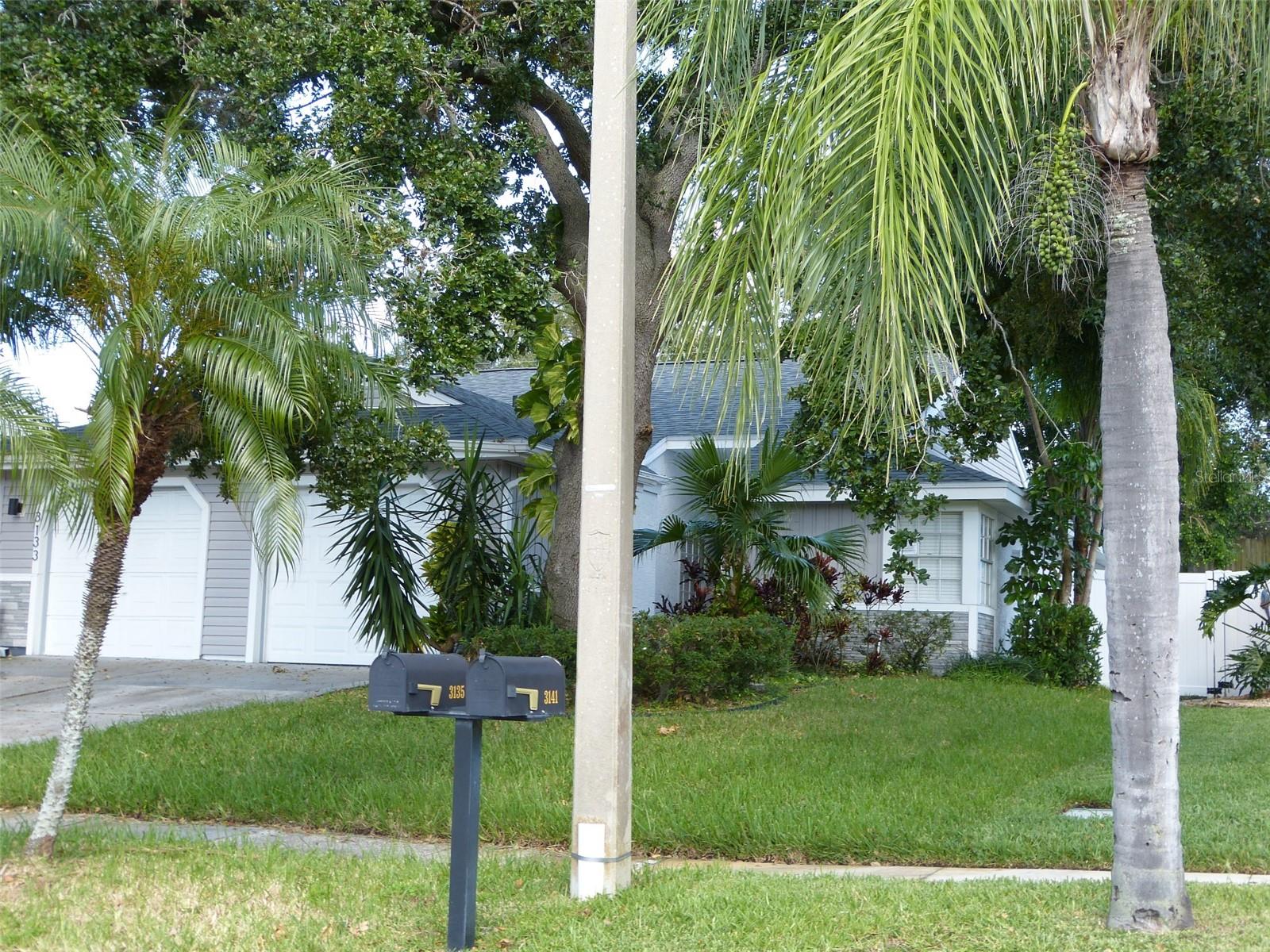 3135 PHLOX DR, PALM HARBOR, FL, 34684
