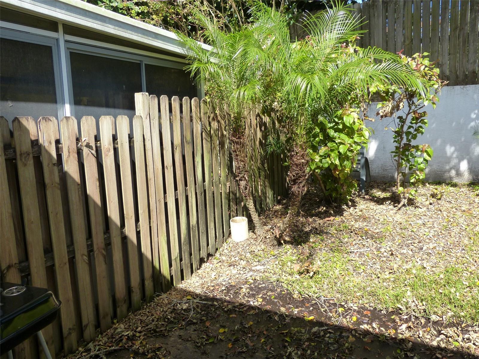 3135 PHLOX DR, PALM HARBOR, FL, 34684