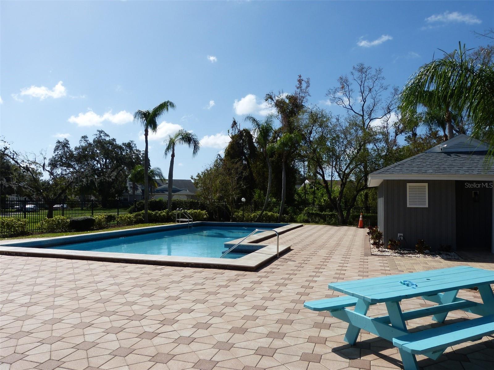 3135 PHLOX DR, PALM HARBOR, FL, 34684