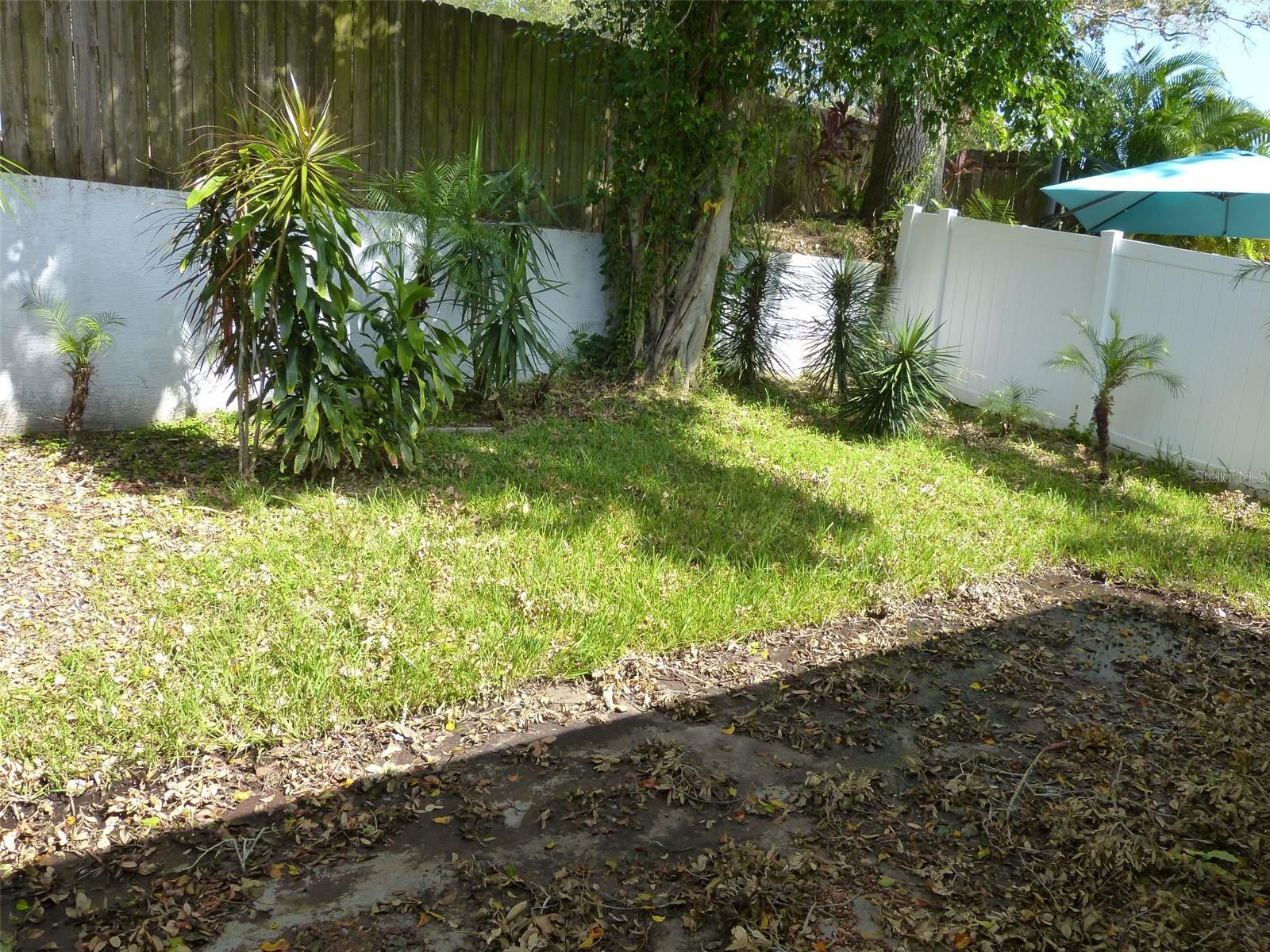 3135 PHLOX DR, PALM HARBOR, FL, 34684