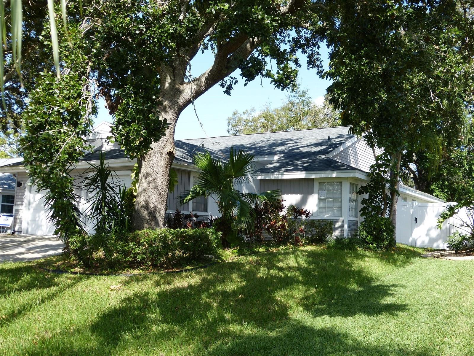 3135 PHLOX DR, PALM HARBOR, FL, 34684