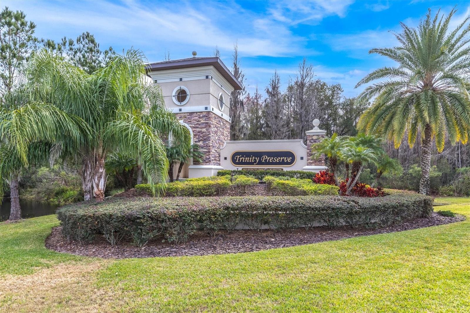 12135 CRESTRIDGE LOOP, TRINITY, FL, 34655