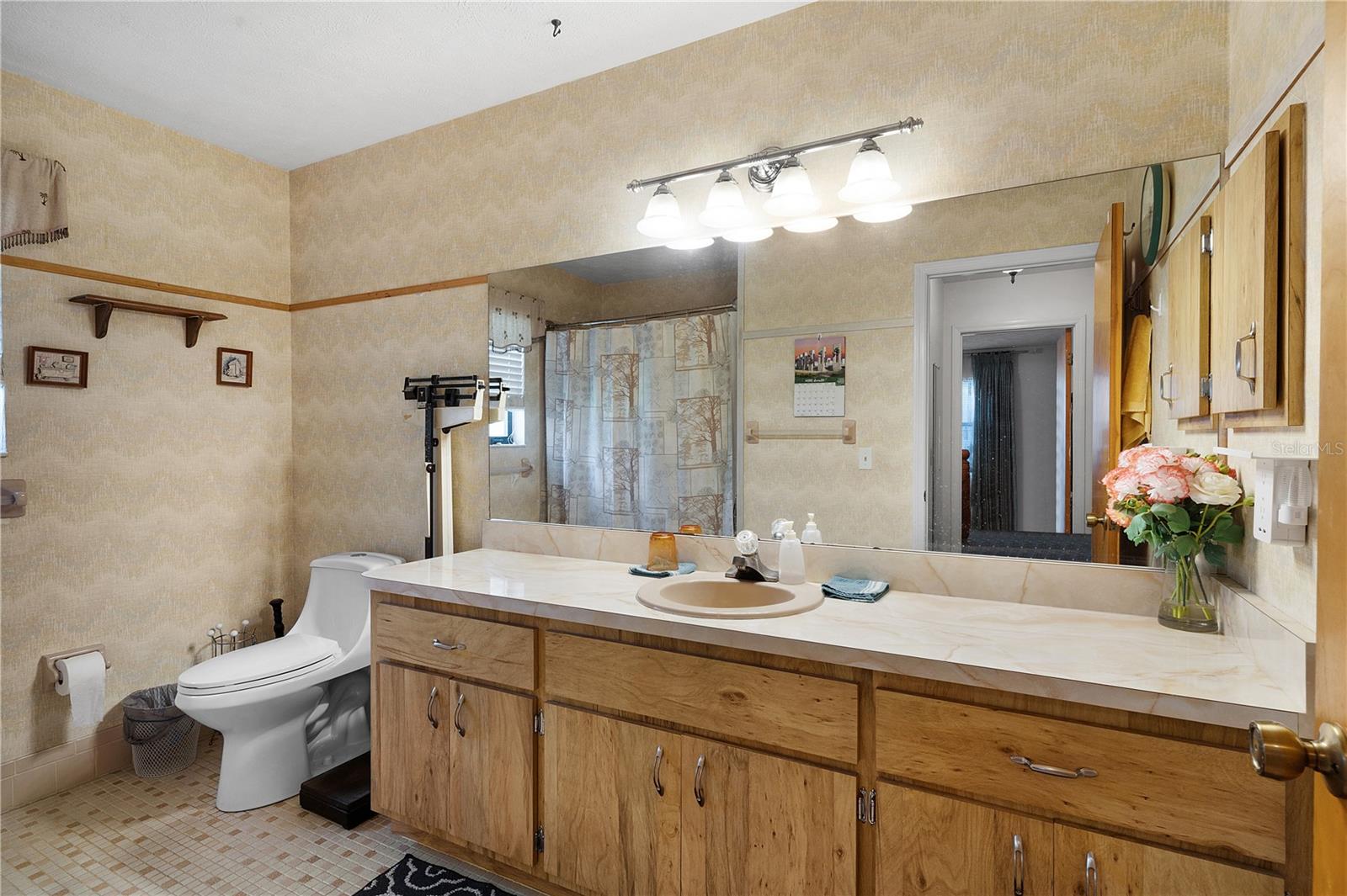 593 NW 111TH LN, OXFORD, FL, 34484