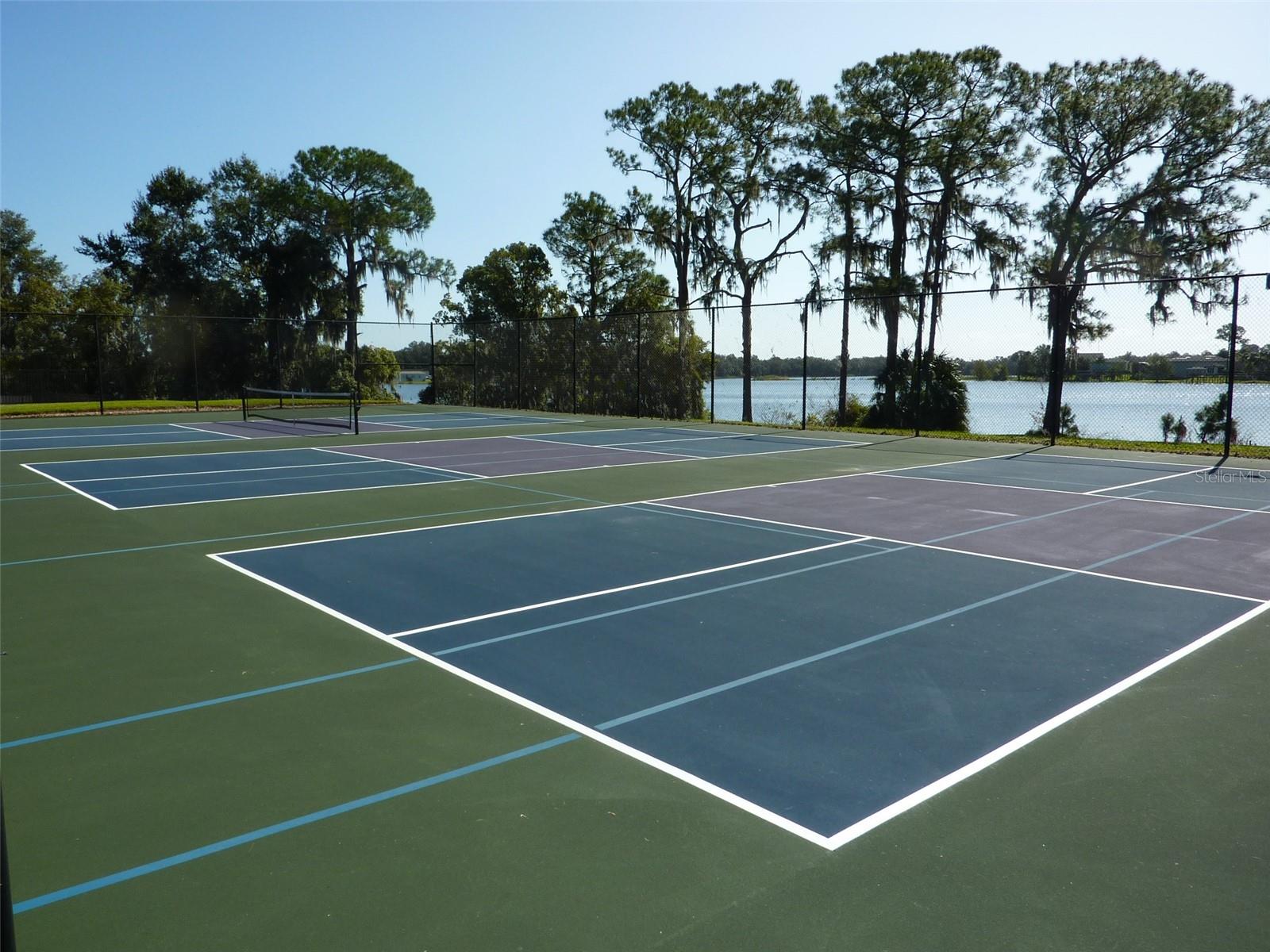 311 NOLANE LN, POLK CITY, FL, 33868