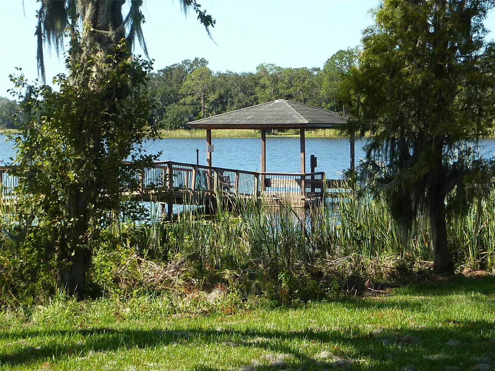 311 NOLANE LN, POLK CITY, FL, 33868