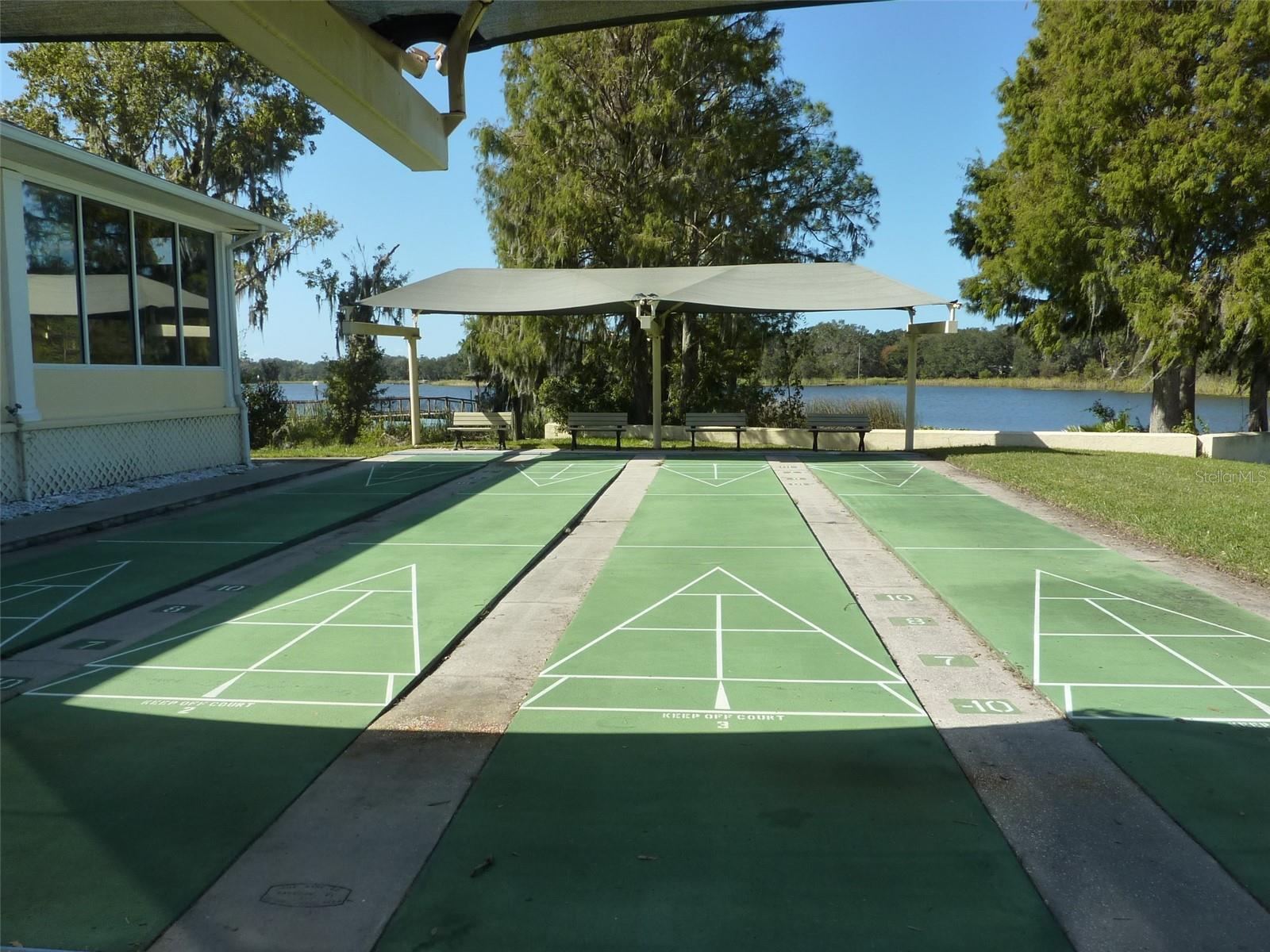 311 NOLANE LN, POLK CITY, FL, 33868