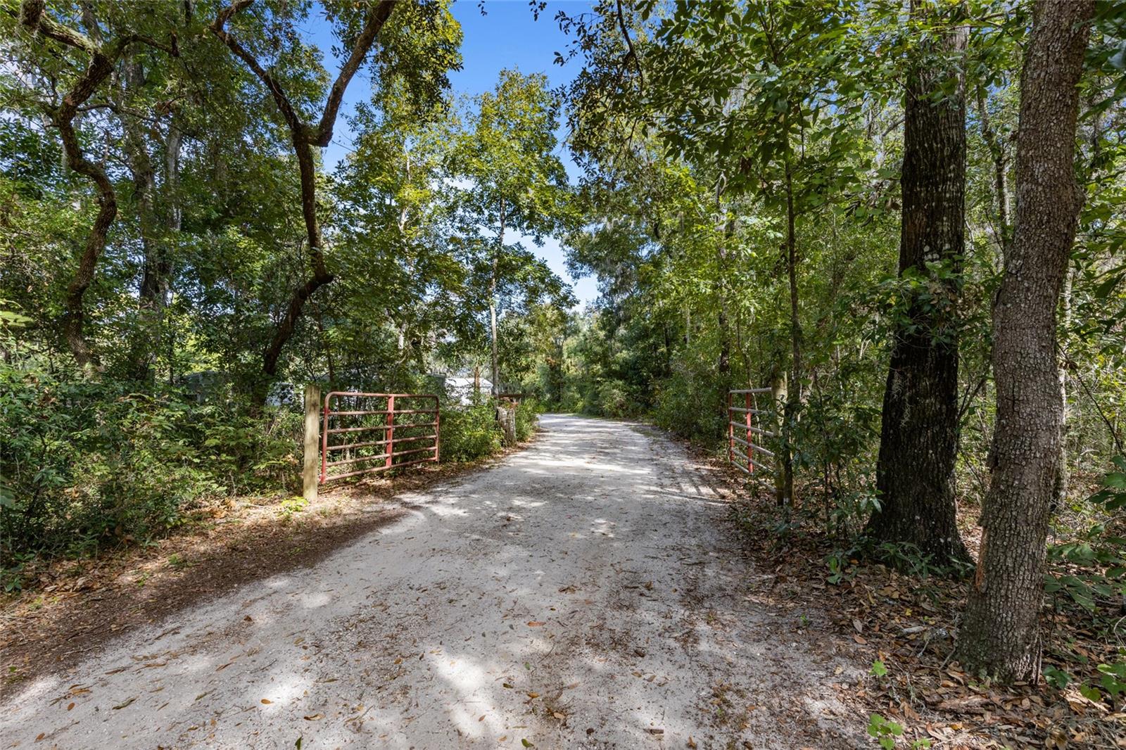 254 REDWATER LAKE RD, HAWTHORNE, FL, 32640