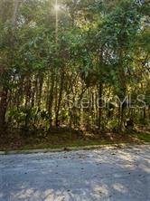 TBD SE 43RD ST, OCALA, FL, 34480