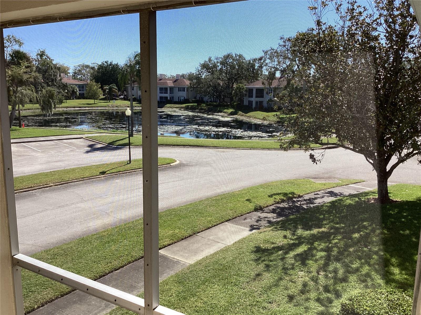 10316 CARROLLWOOD CT #57, TAMPA, FL, 33618