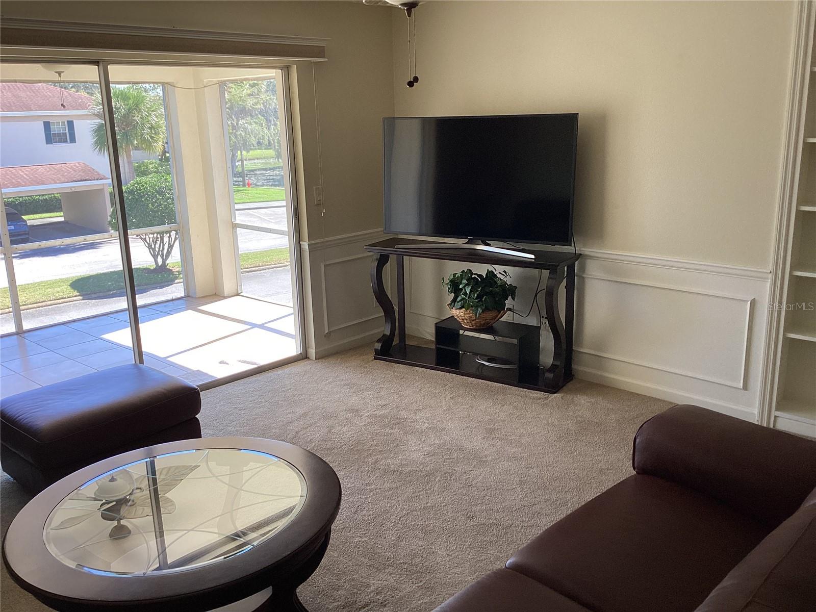 10316 CARROLLWOOD CT #57, TAMPA, FL, 33618