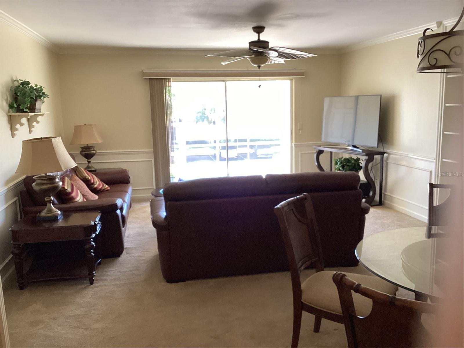 10316 CARROLLWOOD CT #57, TAMPA, FL, 33618