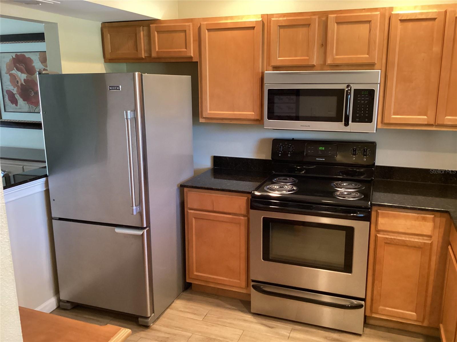 10316 CARROLLWOOD CT #57, TAMPA, FL, 33618
