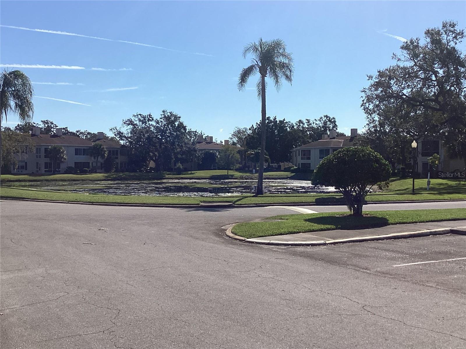 10316 CARROLLWOOD CT #57, TAMPA, FL, 33618