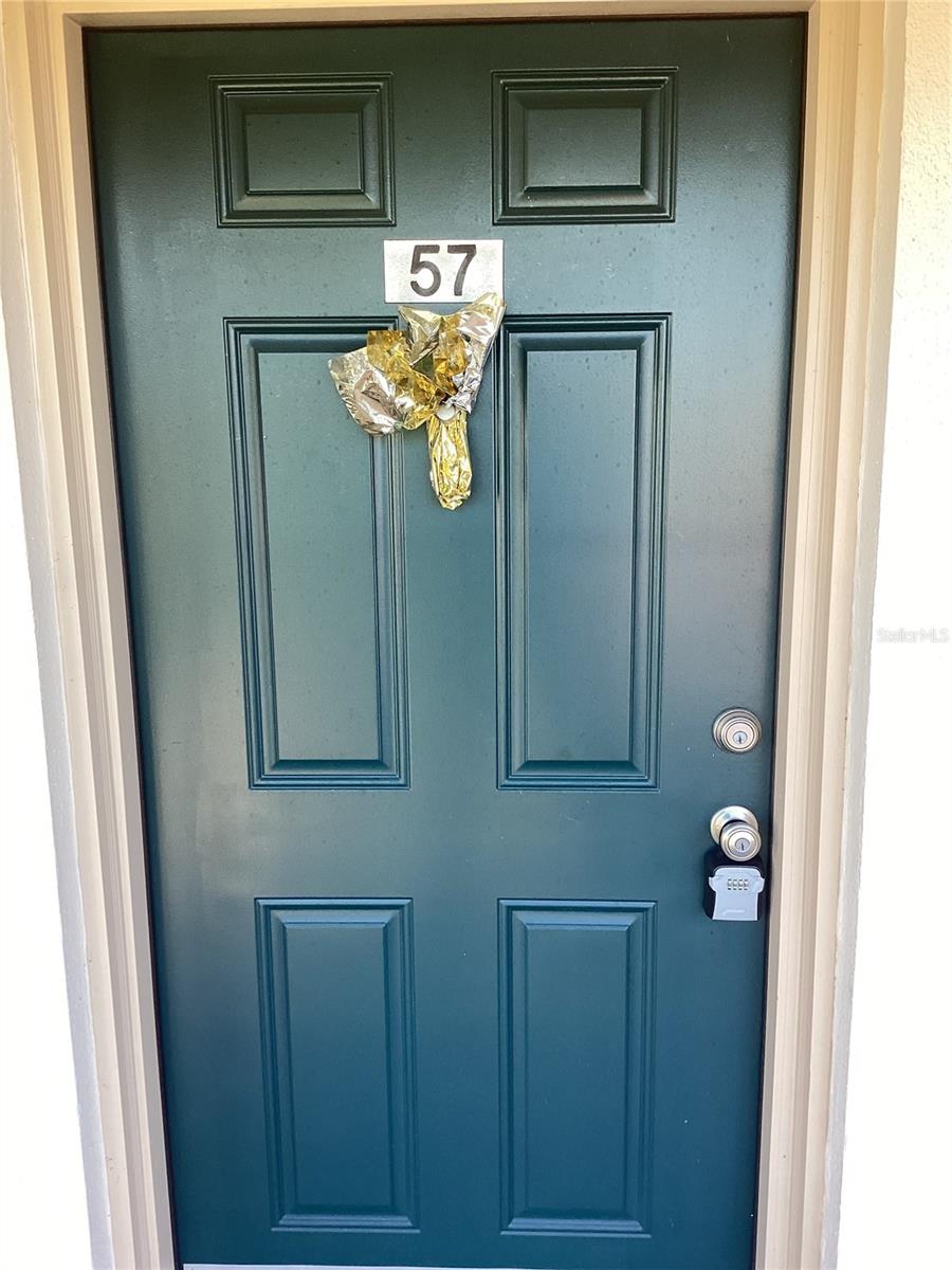 10316 CARROLLWOOD CT #57, TAMPA, FL, 33618