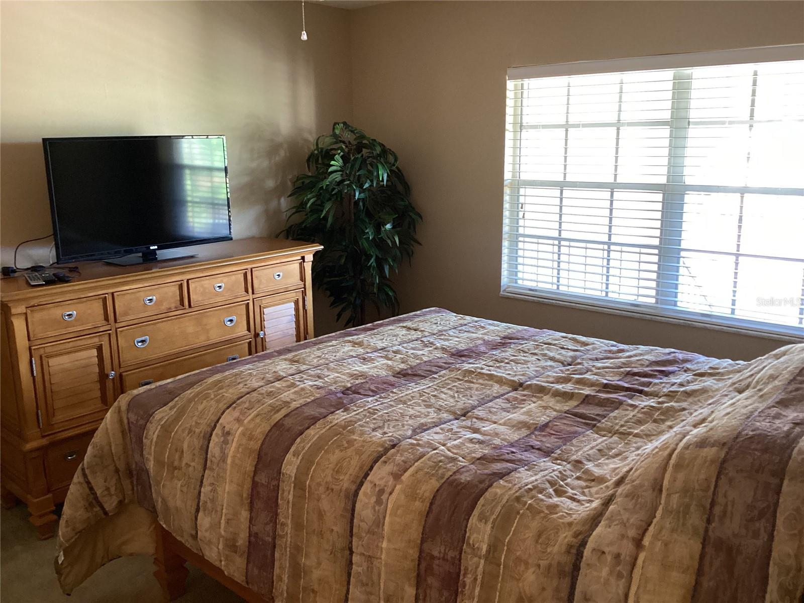 10316 CARROLLWOOD CT #57, TAMPA, FL, 33618