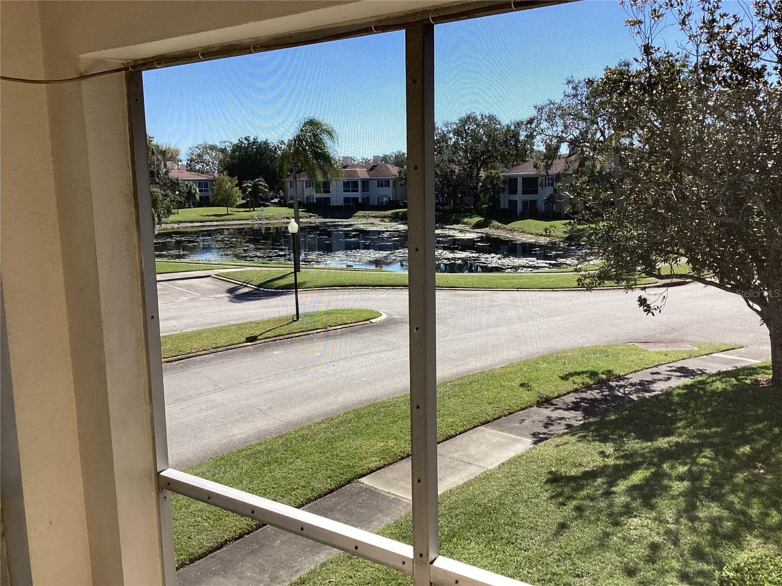 10316 CARROLLWOOD CT #57, TAMPA, FL, 33618