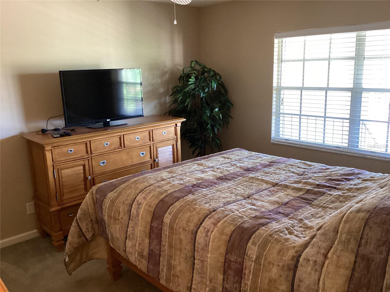 10316 CARROLLWOOD CT #57, TAMPA, FL, 33618