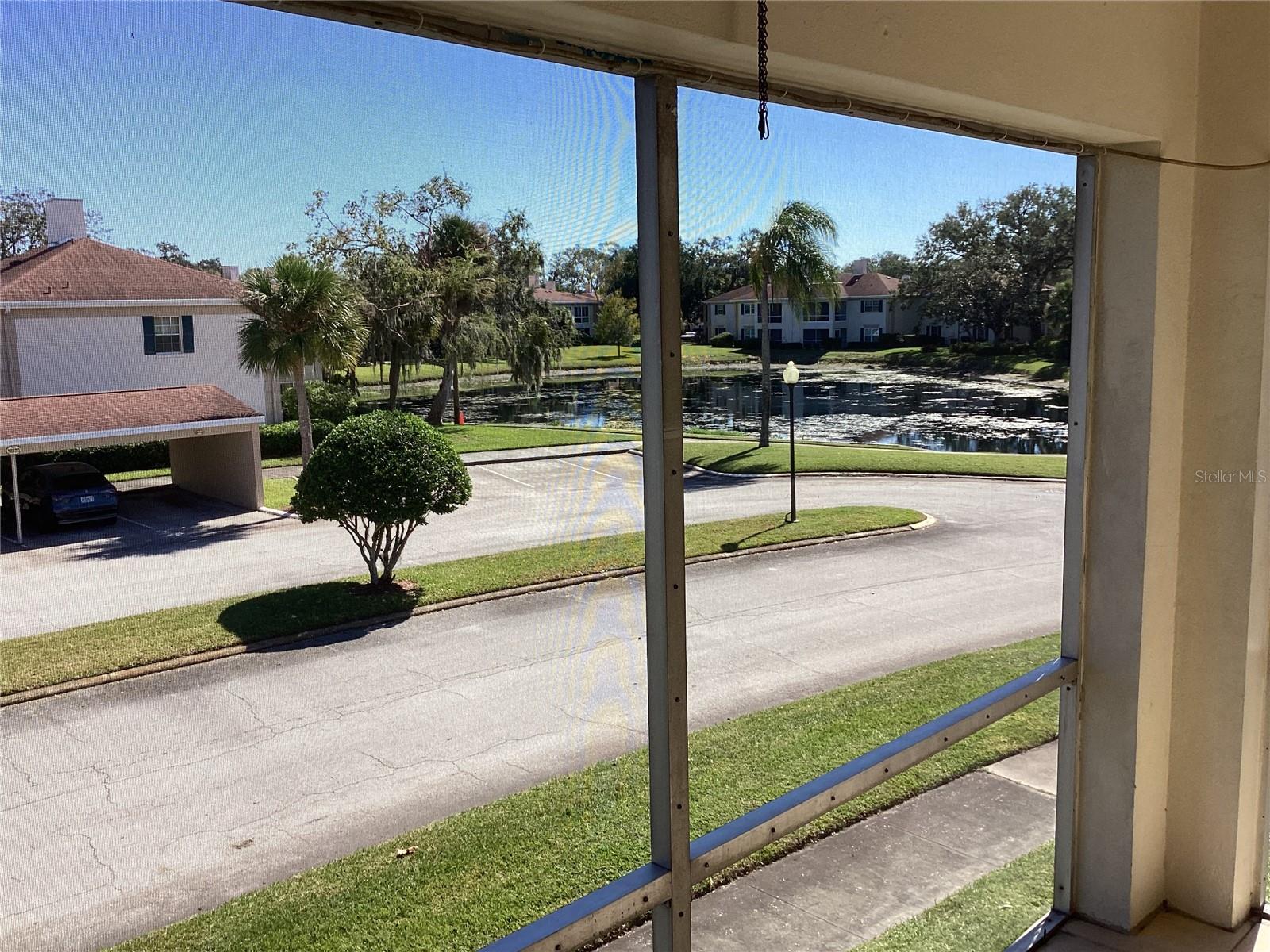 10316 CARROLLWOOD CT #57, TAMPA, FL, 33618
