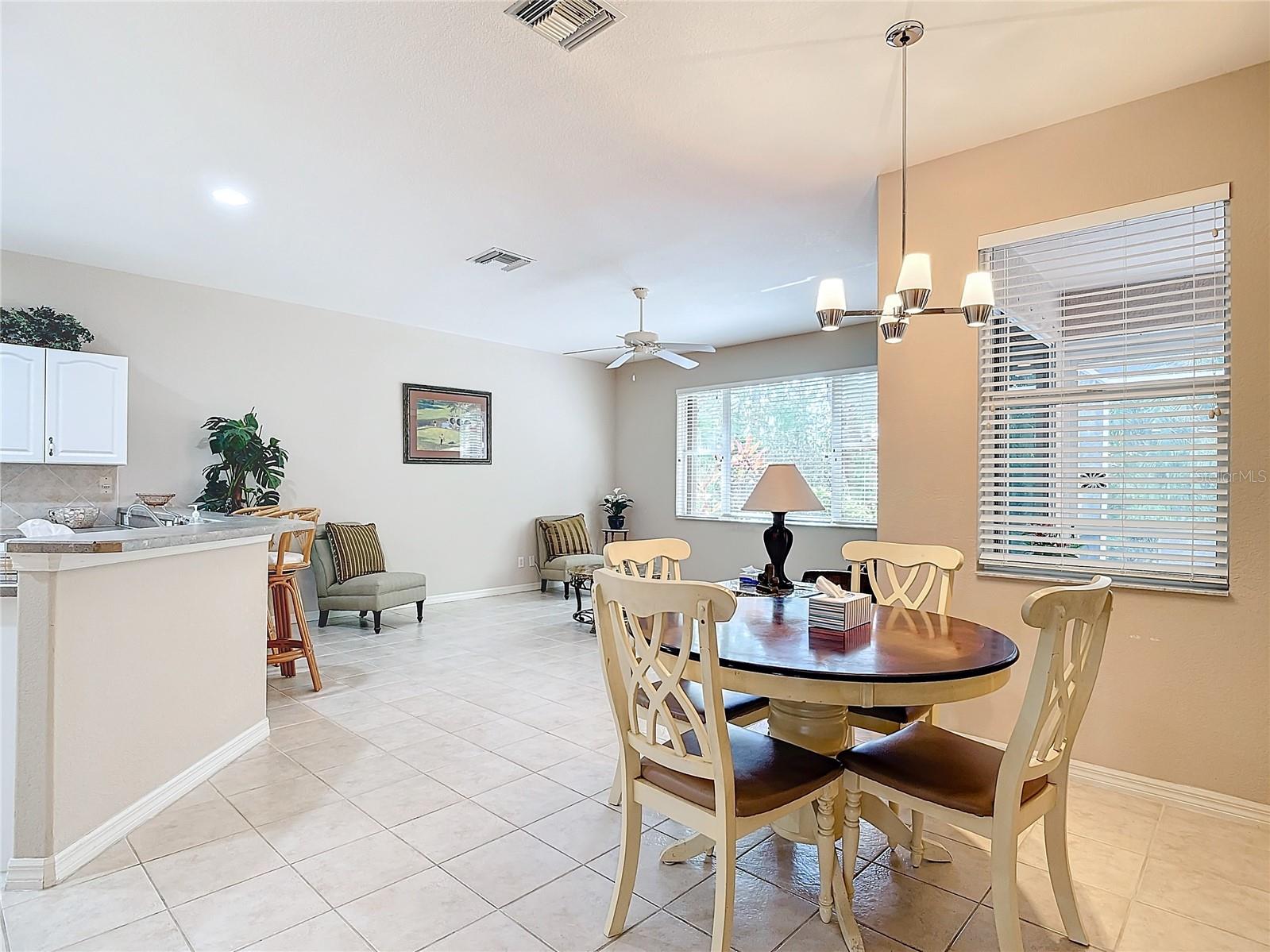 20607 DENNISPORT LN, NORTH FORT MYERS, FL, 33917