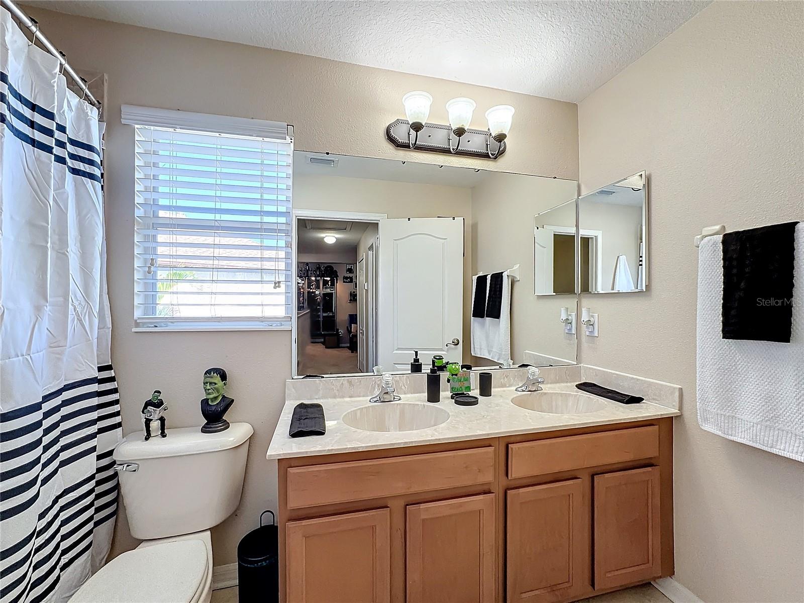 5009 CLOVER MIST DR, APOLLO BEACH, FL, 33572