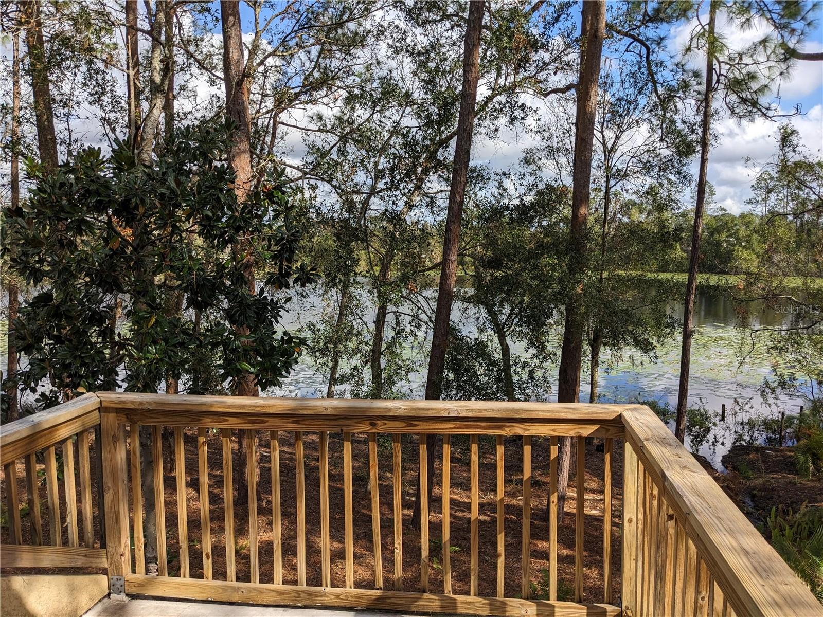 23713 ACORN HILL DR, LUTZ, FL, 33559