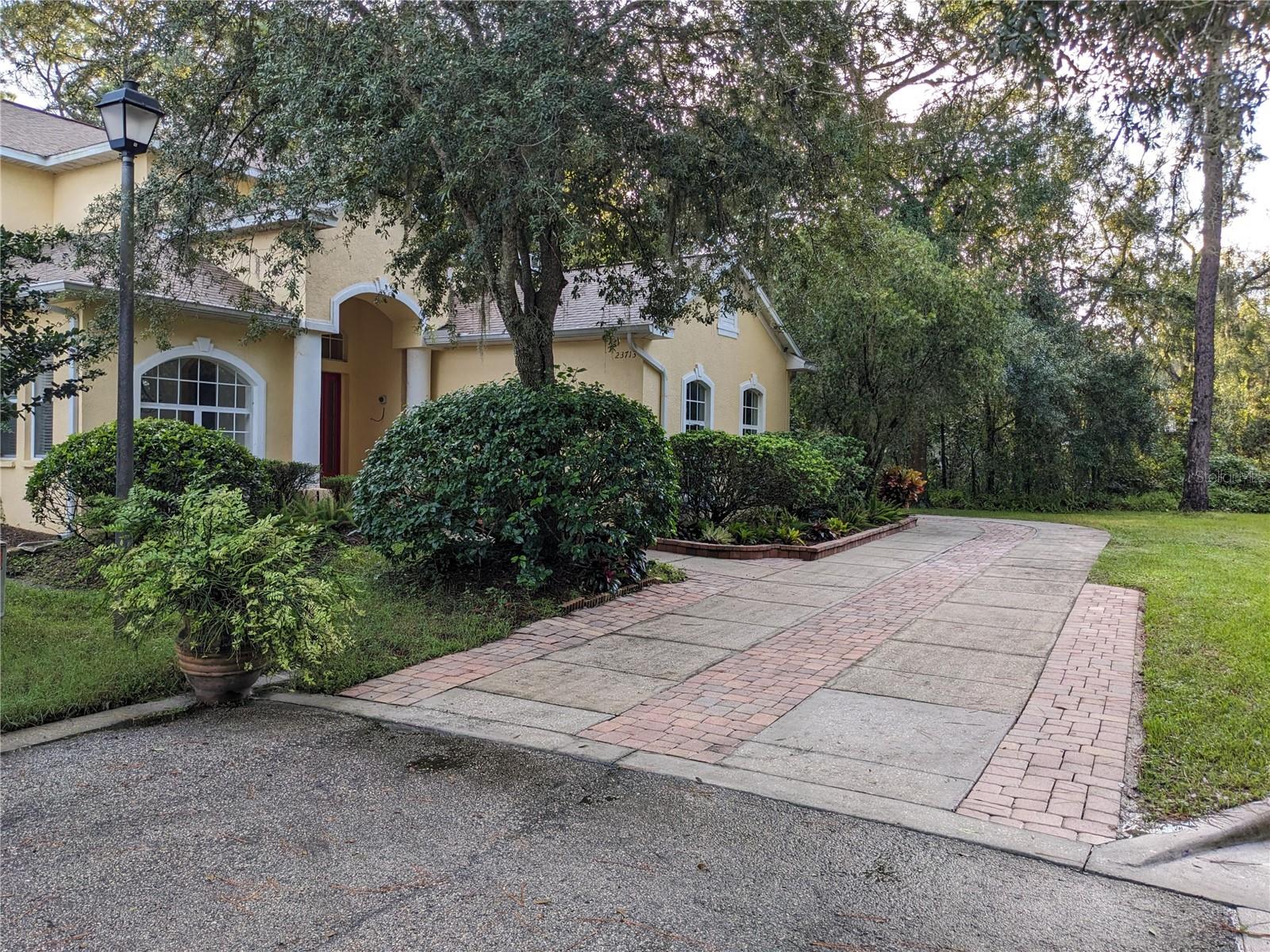 23713 ACORN HILL DR, LUTZ, FL, 33559