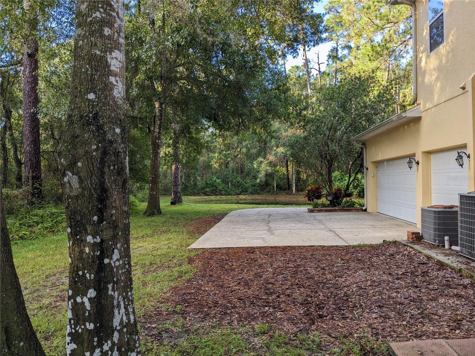 23713 ACORN HILL DR, LUTZ, FL, 33559