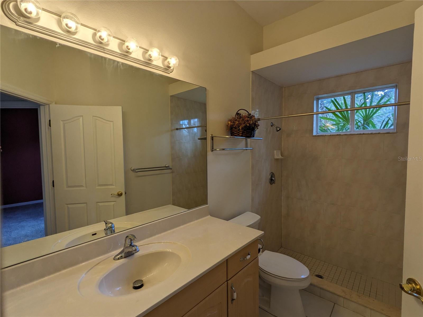 23713 ACORN HILL DR, LUTZ, FL, 33559