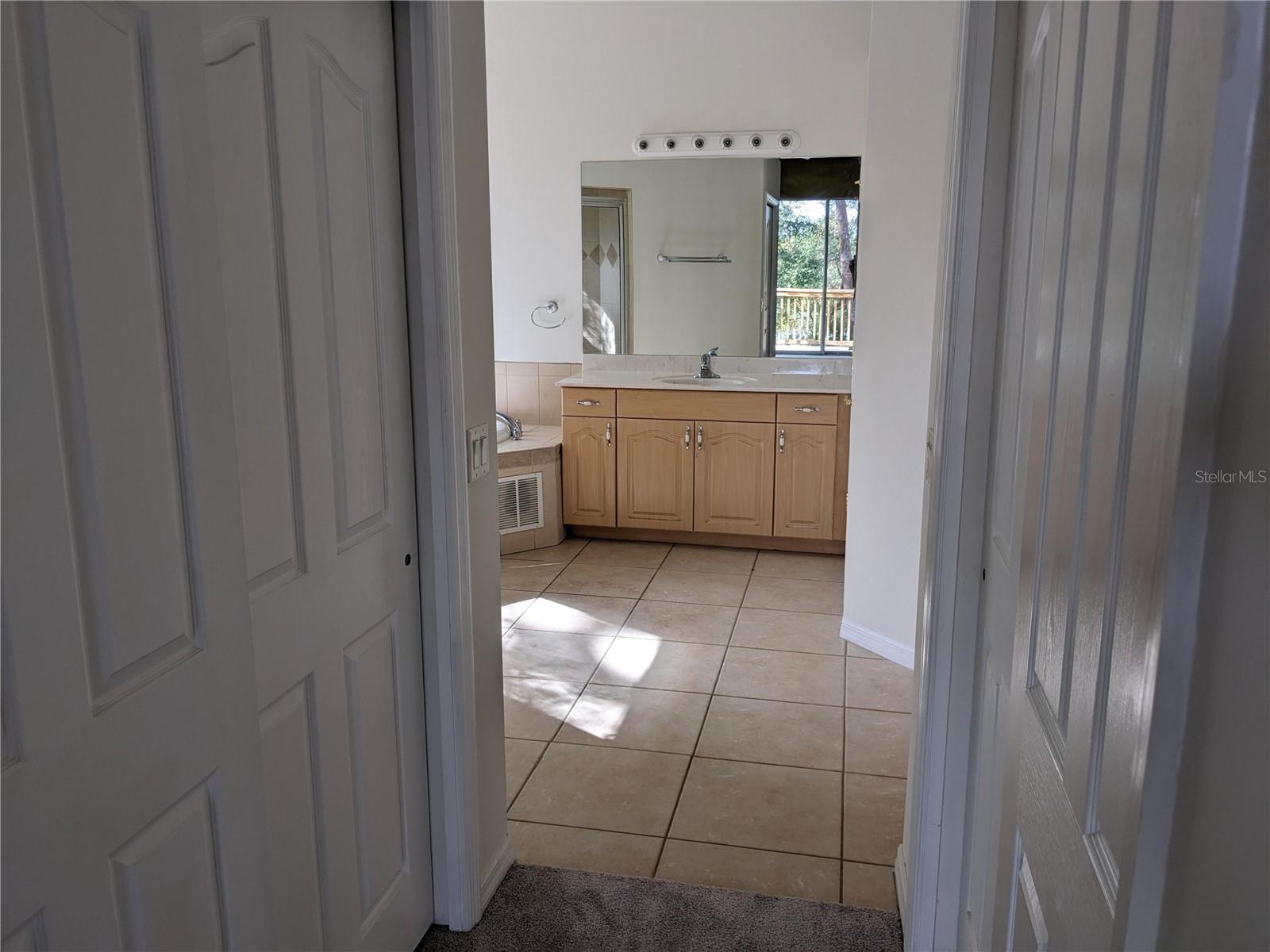 23713 ACORN HILL DR, LUTZ, FL, 33559