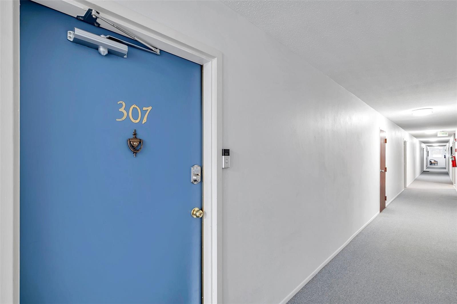 100 WAVERLY WAY #307, CLEARWATER, FL, 33756