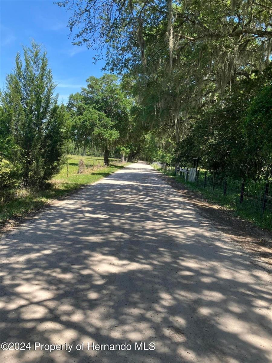 44912 LACOOCHEE CLAYSINK RD, WEBSTER, FL, 33597