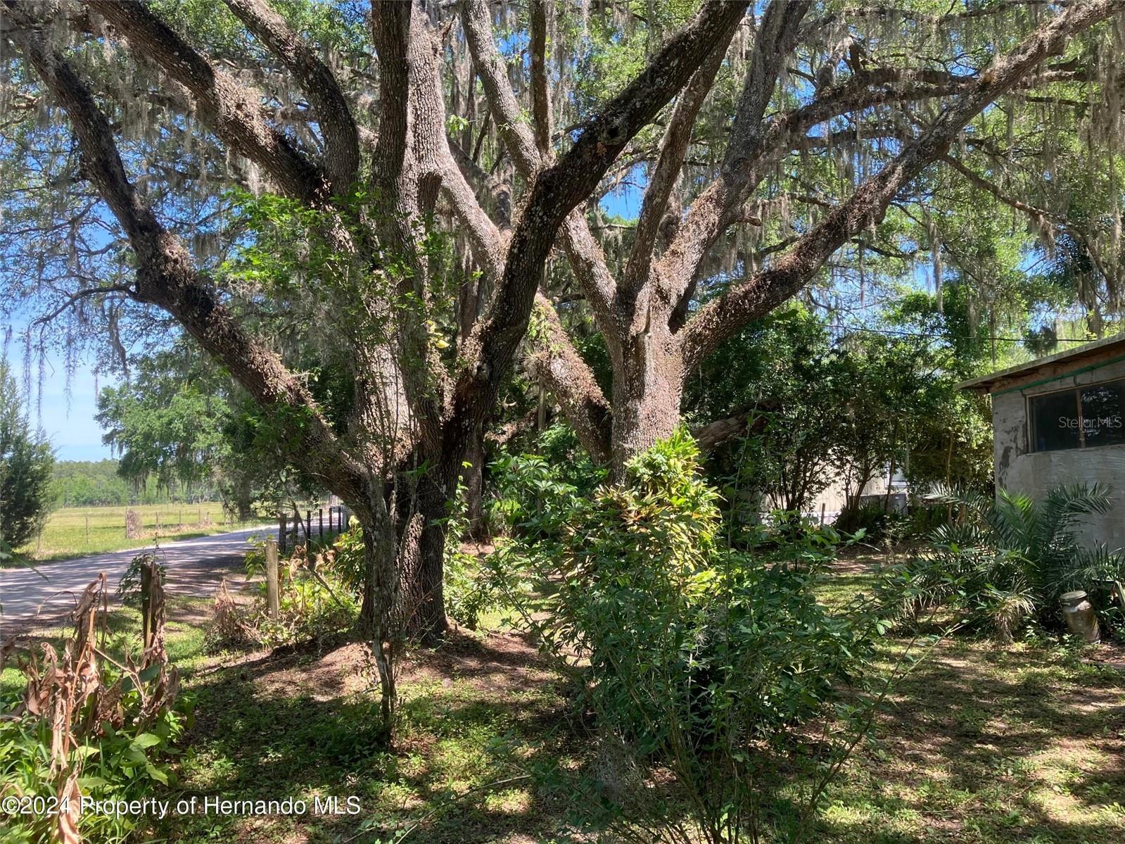44912 LACOOCHEE CLAYSINK RD, WEBSTER, FL, 33597