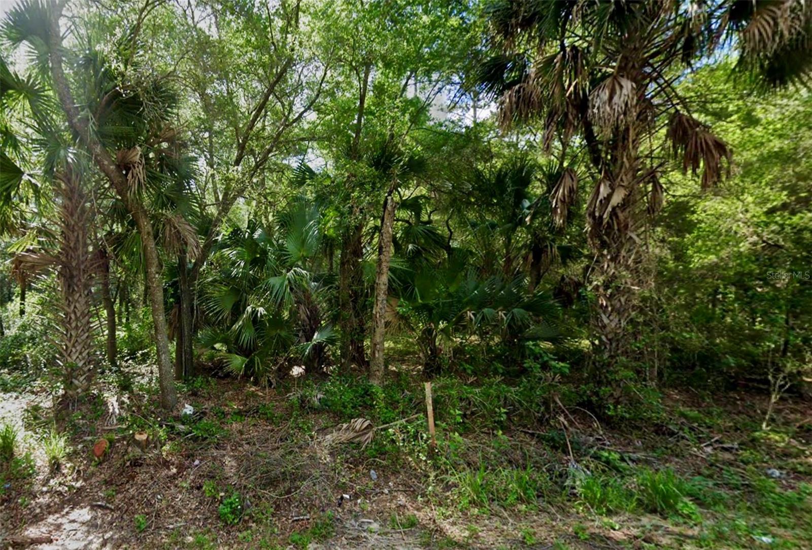 SE 167 CT, OCKLAWAHA, FL, 32179
