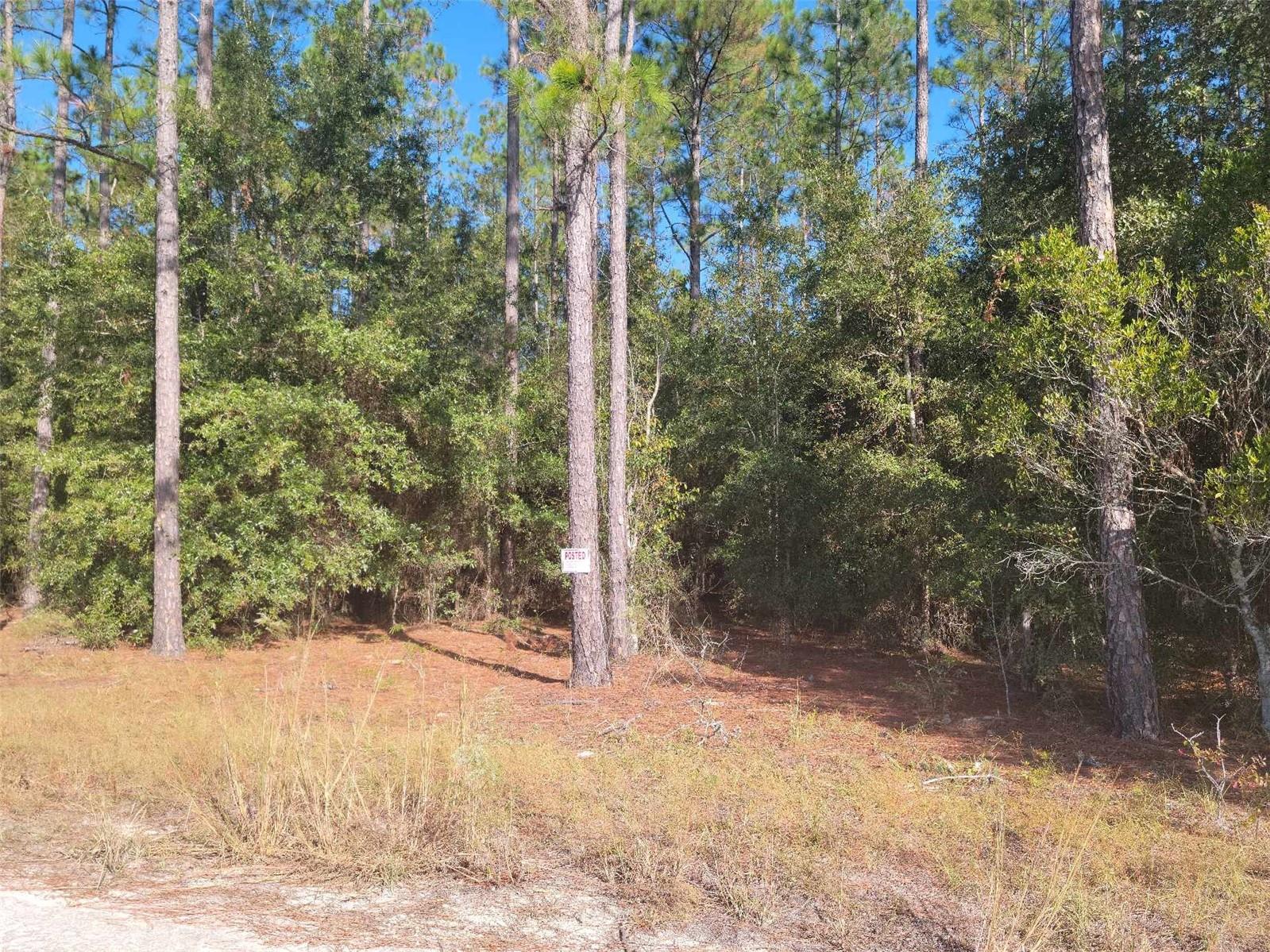 61ST PLACE, NEWBERRY, FL, 32669