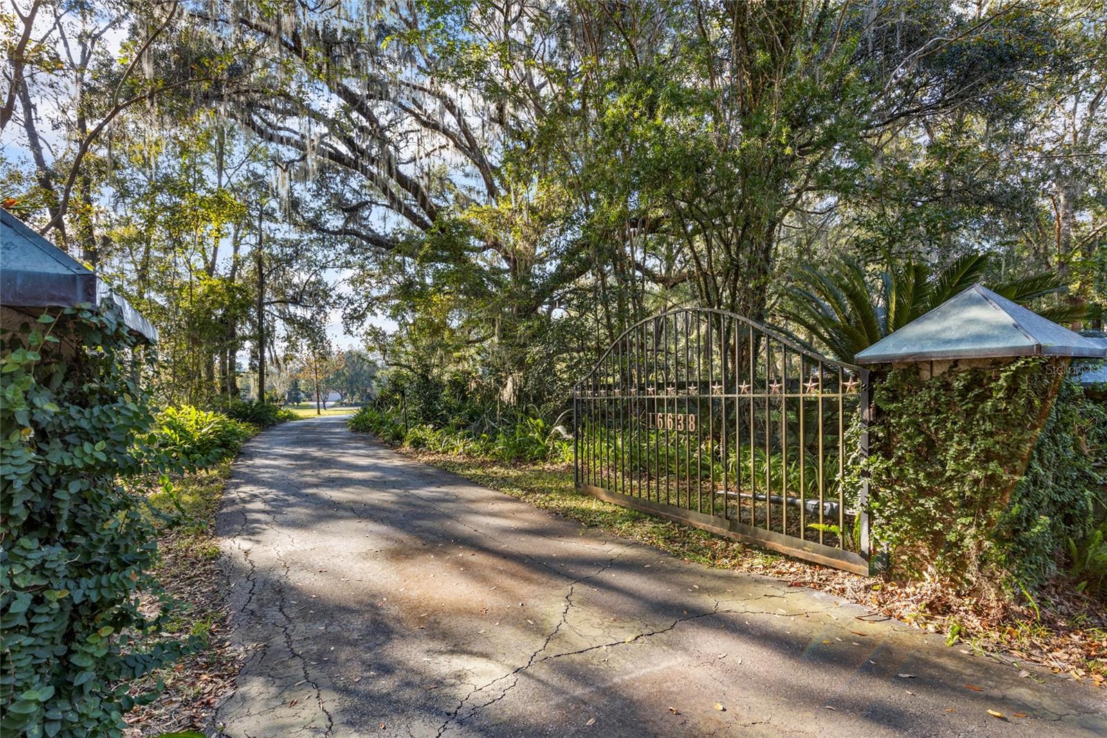 16638 N HIGHWAY 329, REDDICK, FL, 32686