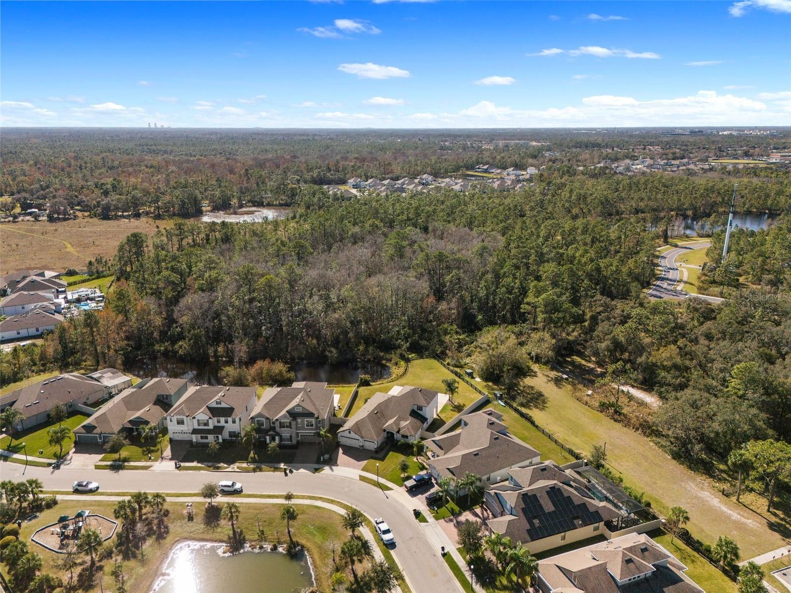 2972 CRYSTAL WATER RUN, OVIEDO, FL, 32765