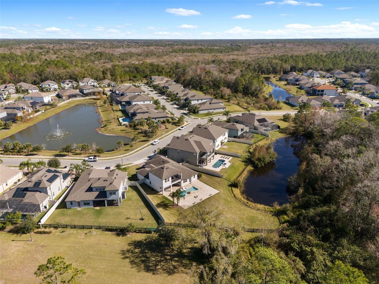 2972 CRYSTAL WATER RUN, OVIEDO, FL, 32765