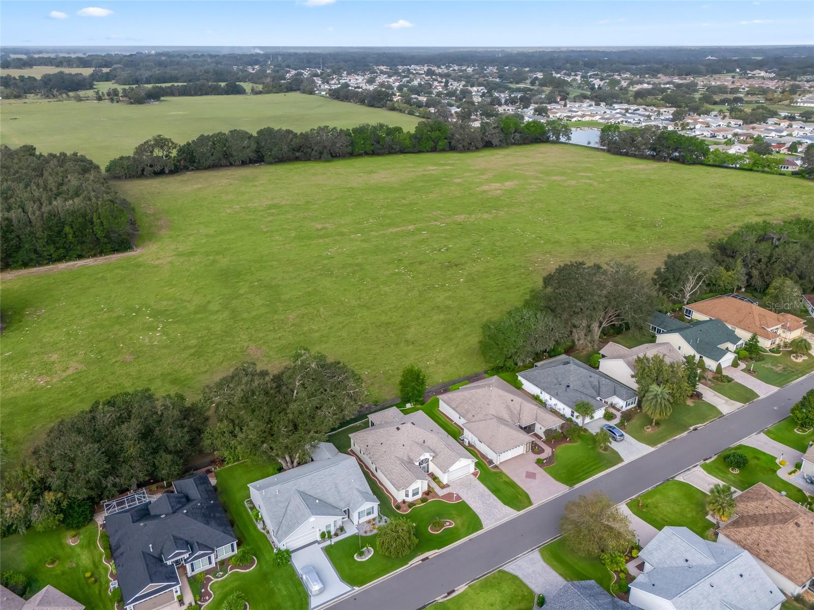 8146 SE 177TH WINTERTHUR LOOP, THE VILLAGES, FL, 32162