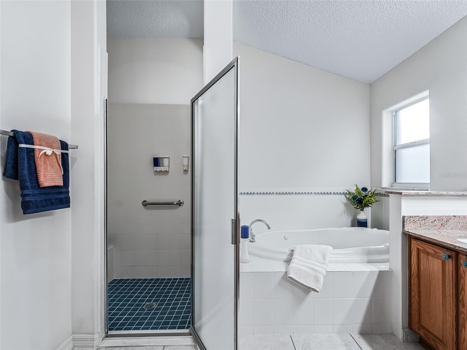 8146 SE 177TH WINTERTHUR LOOP, THE VILLAGES, FL, 32162