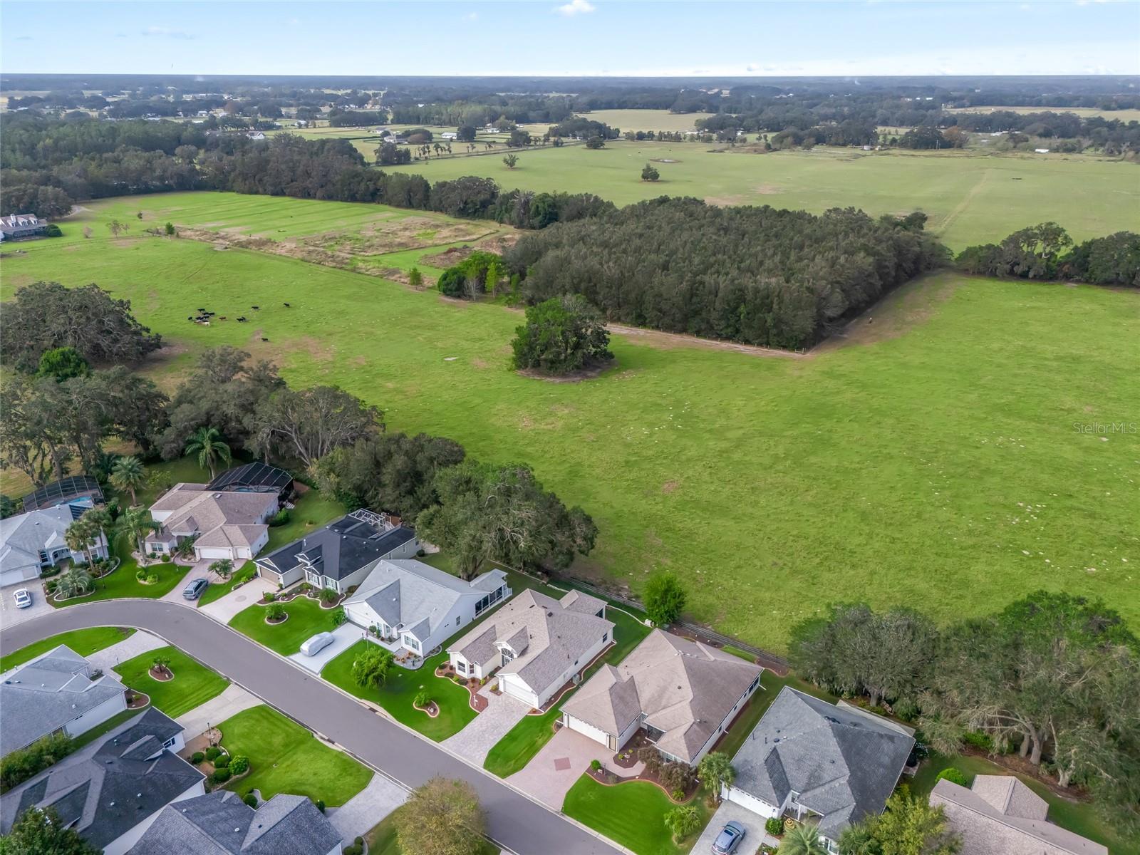 8146 SE 177TH WINTERTHUR LOOP, THE VILLAGES, FL, 32162