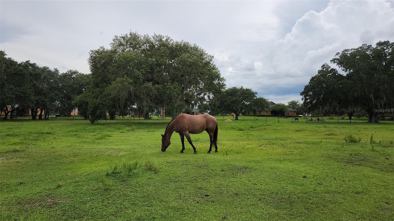 556 WATERWAY DR, LAKE WALES, FL, 33898