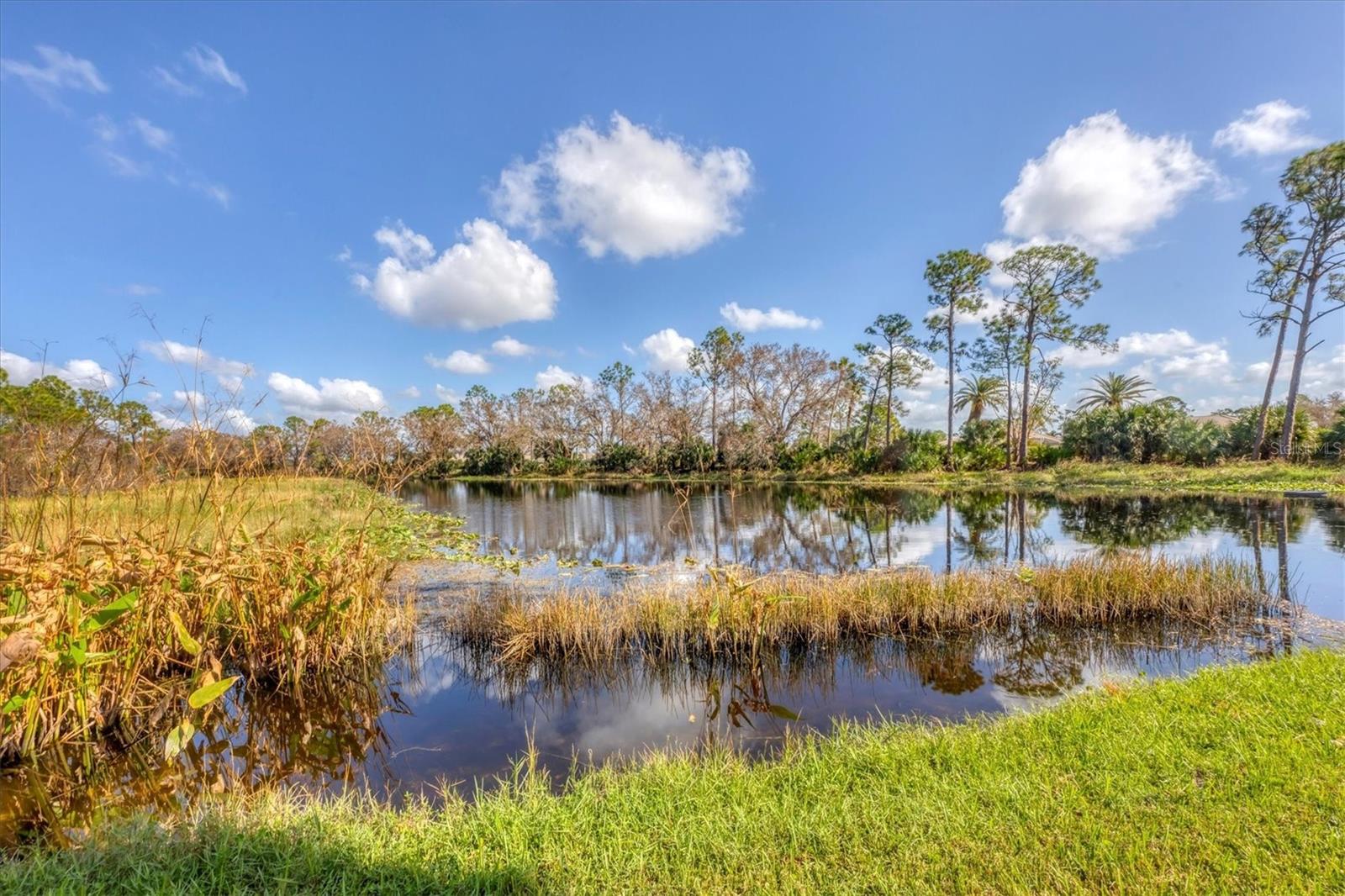 804 MONTROSE DR #103, VENICE, FL, 34293
