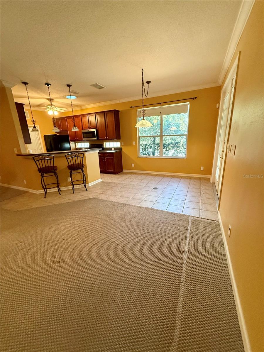101 AVENHAM DR, DELAND, FL, 32724