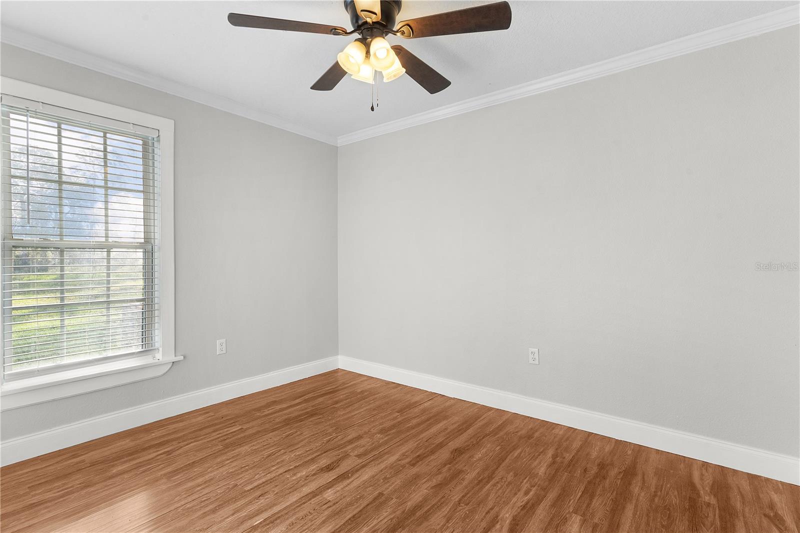2697 CR 774, WEBSTER, FL, 33597