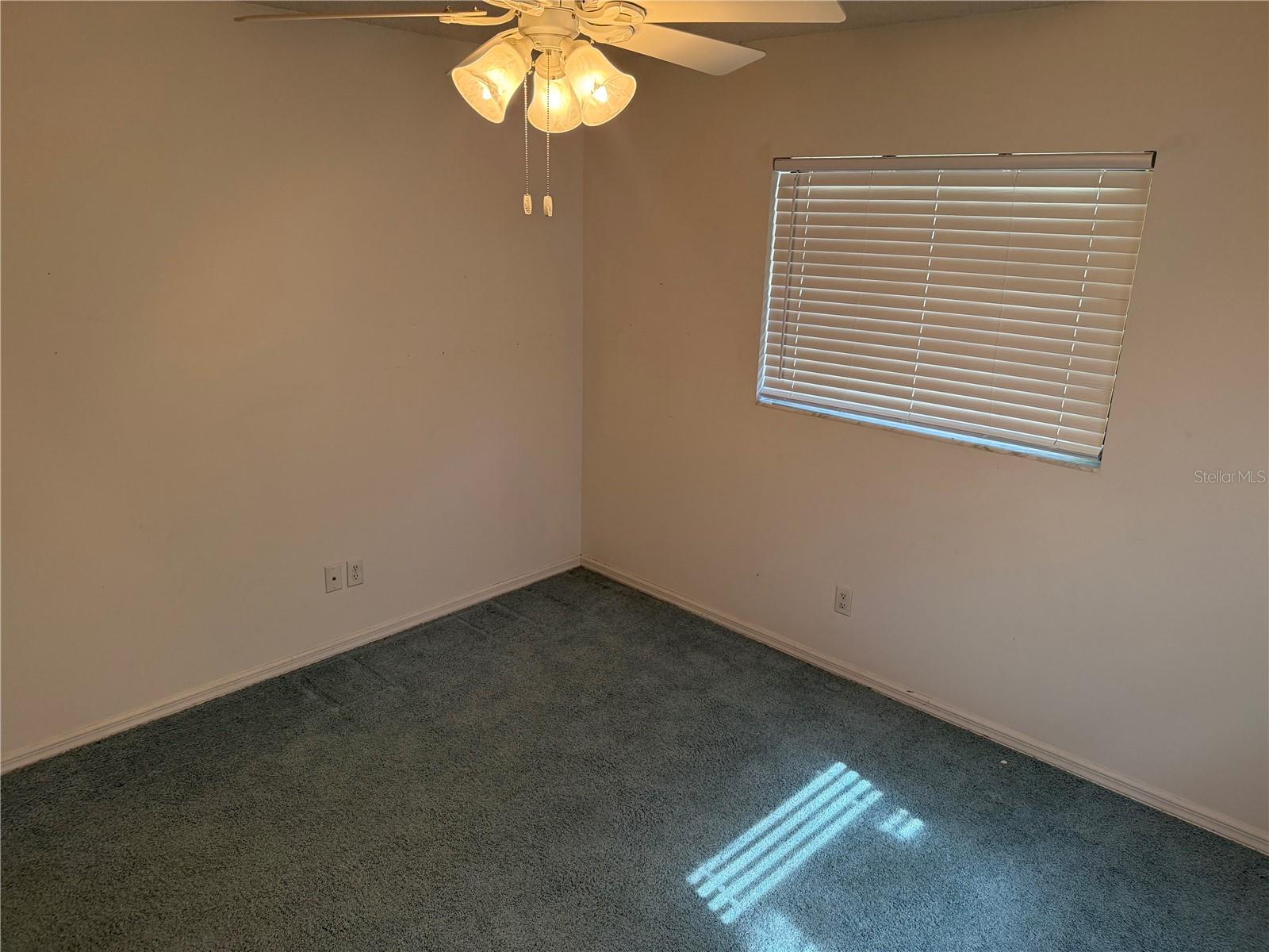 2494 COUNTY ROAD 447, LAKE PANASOFFKEE, FL, 33538