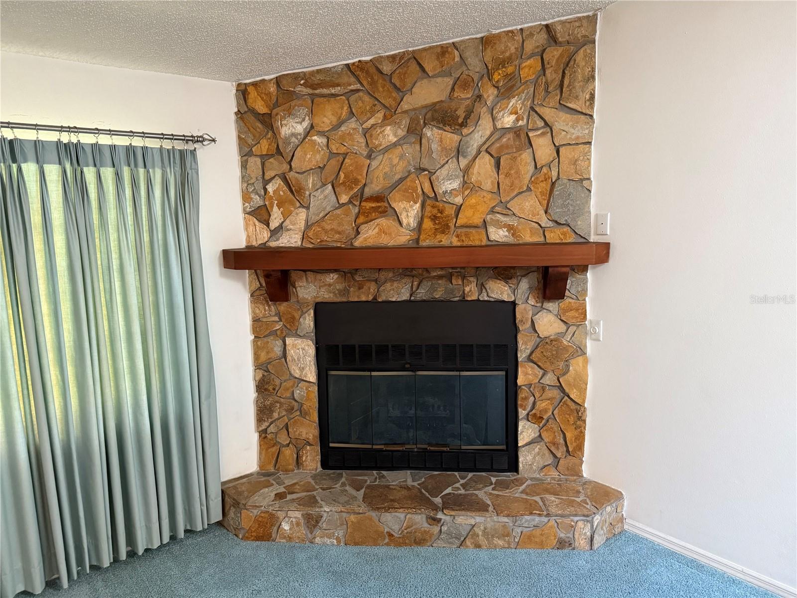 2494 COUNTY ROAD 447, LAKE PANASOFFKEE, FL, 33538